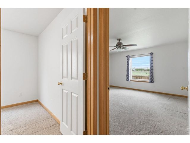 1530 Walnut St, Windsor, CO 80550