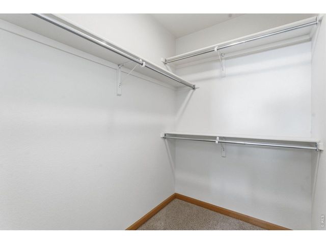 1530 Walnut St, Windsor, CO 80550