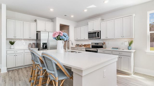 9068 Polar Bear Way, Conway, SC 29526