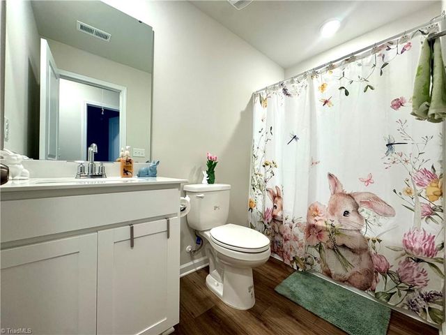 227 Plumtree Court, King, NC 27021