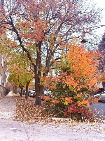 4034 N Monticello Avenue, Chicago, IL 60618