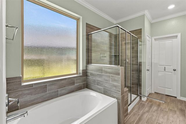 309 Lochvale Peak Court, Montgomery, TX 77316