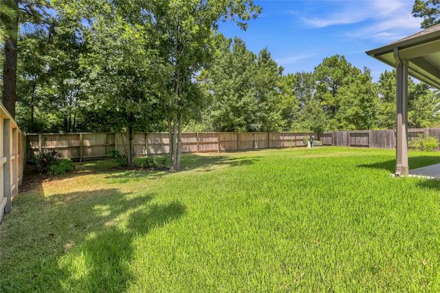 309 Lochvale Peak Court, Montgomery, TX 77316