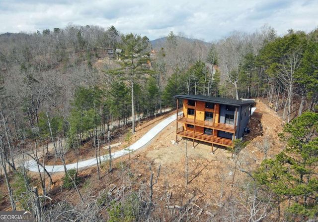 391 Crabapple Lane, Mineral Bluff, GA 30559