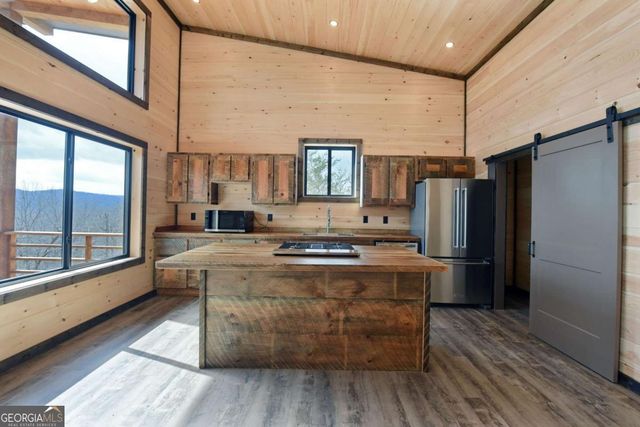 391 Crabapple Lane, Mineral Bluff, GA 30559