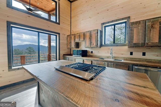 391 Crabapple Lane, Mineral Bluff, GA 30559