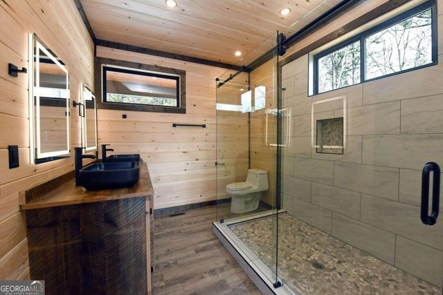 391 Crabapple Lane, Mineral Bluff, GA 30559