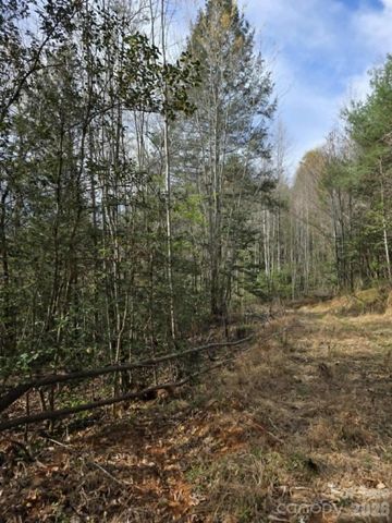 Lot 5 Kerlee Lane, Old Fort, NC 28762