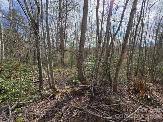Lot 5 Kerlee Lane, Old Fort, NC 28762