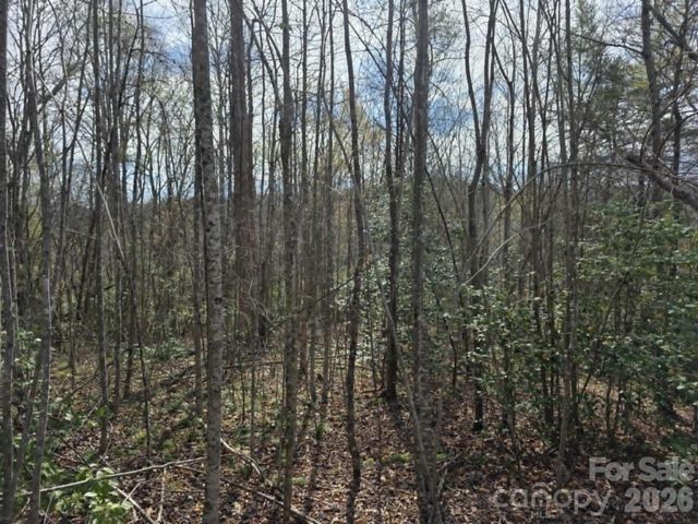Lot 5 Kerlee Lane, Old Fort, NC 28762