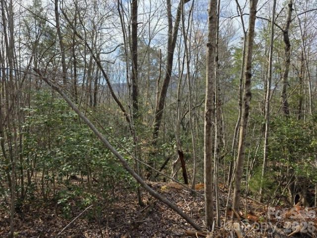 Lot 5 Kerlee Lane, Old Fort, NC 28762