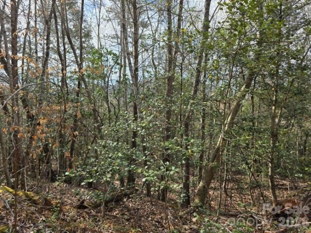 Lot 5 Kerlee Lane, Old Fort, NC 28762