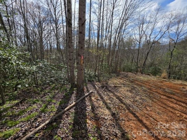 Lot 5 Kerlee Lane, Old Fort, NC 28762