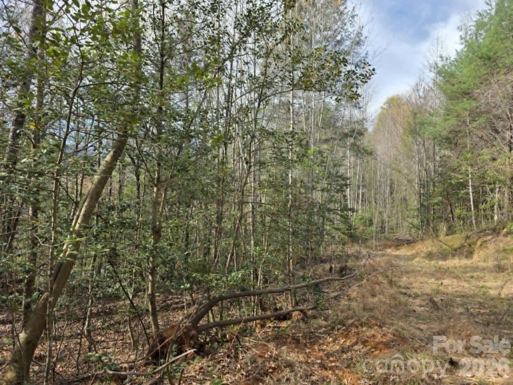Lot 5 Kerlee Lane, Old Fort, NC 28762