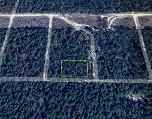 0 W Yellow Popular Avenue, Defuniak Springs, FL 32433