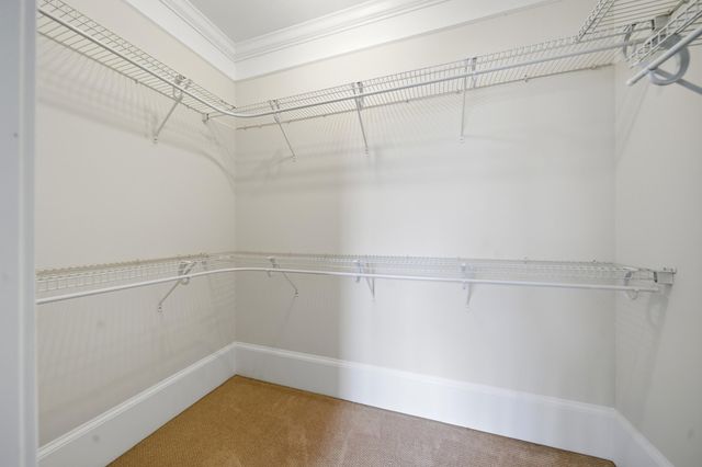 102 Rio Rose Circle, Columbia, SC 29205