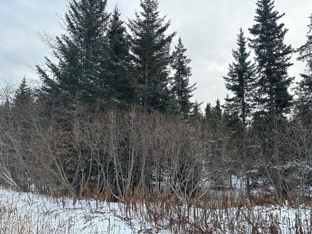 000 Old Sterling Highway, Anchor Point, AK 99556