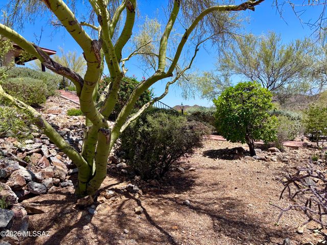 3955 W Coyote Ridge Trail, Tucson, AZ 85746