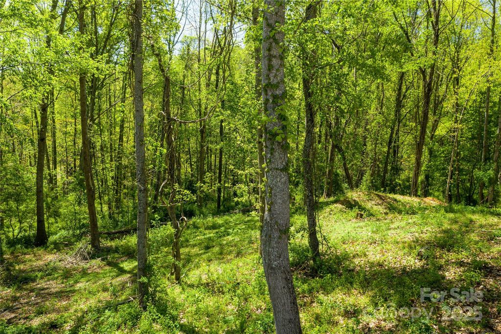 9999 Bee Balm Way 55, Asheville, NC 28804