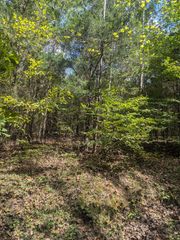 0 Meadows Road, Cumberland Furnace, TN 37051