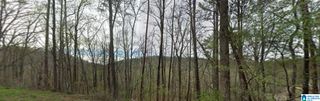 0000 RED VALLEY ROAD, Remlap, AL 35133
