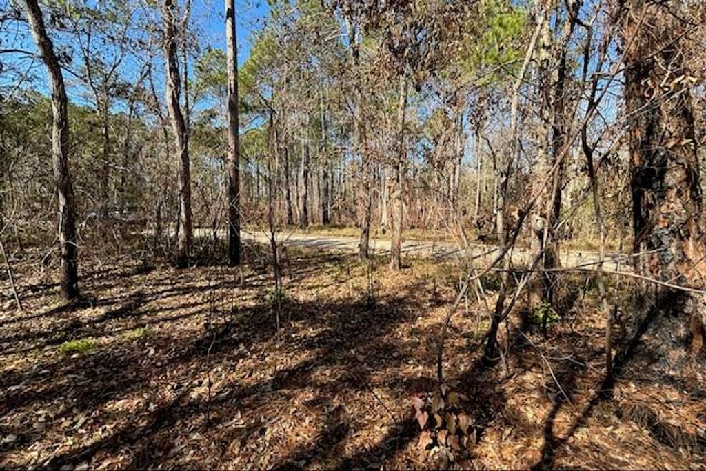 1869 Cedar Creek Circle, Coden, AL 36523 — exterior