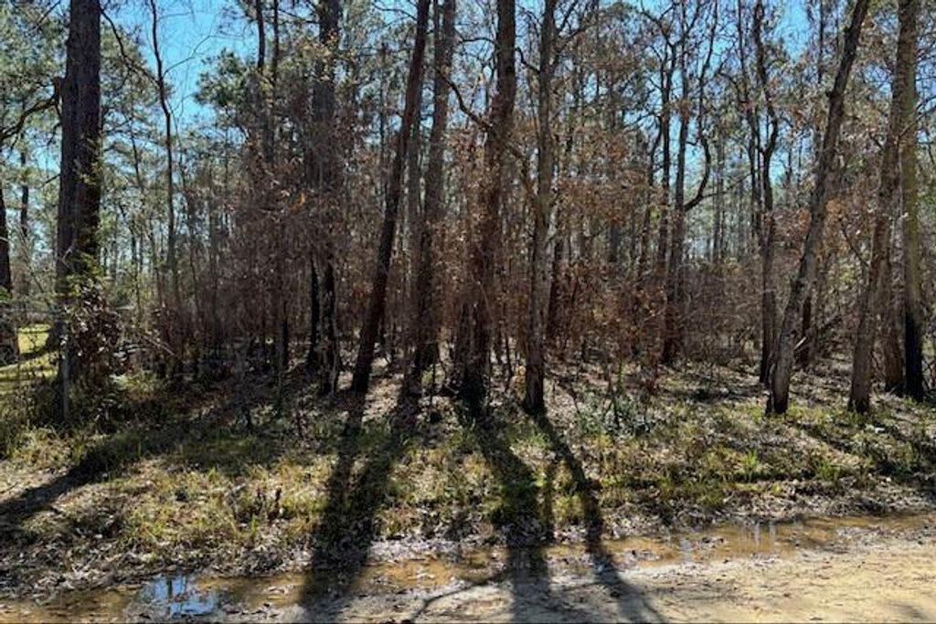 1869 Cedar Creek Circle, Coden, AL 36523 — photo 2