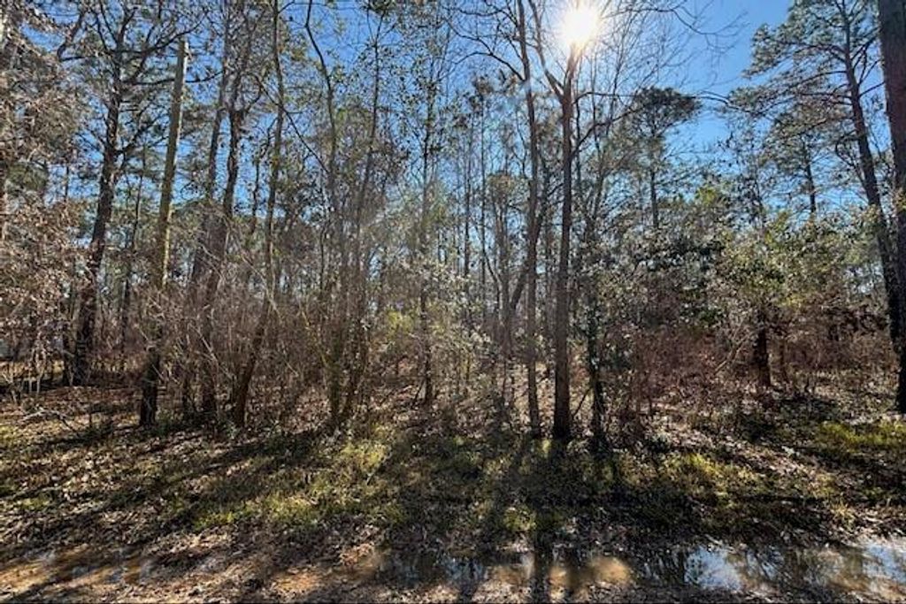 1869 Cedar Creek Circle, Coden, AL 36523 — photo 3