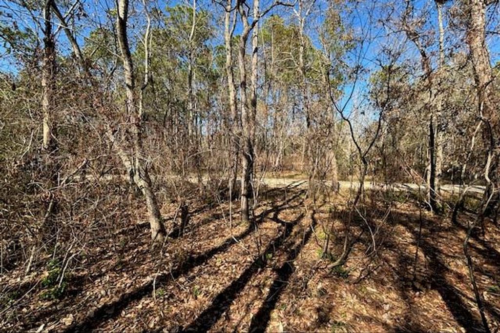 1869 Cedar Creek Circle, Coden, AL 36523 — photo 5
