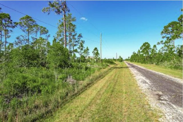 0 Calliandra Drive, Indian Lake Estates, FL 33855