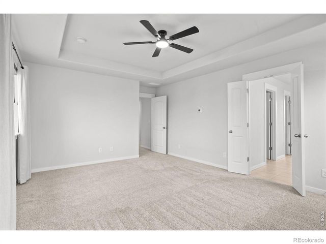 2104 Gather Court, Windsor, CO 80550