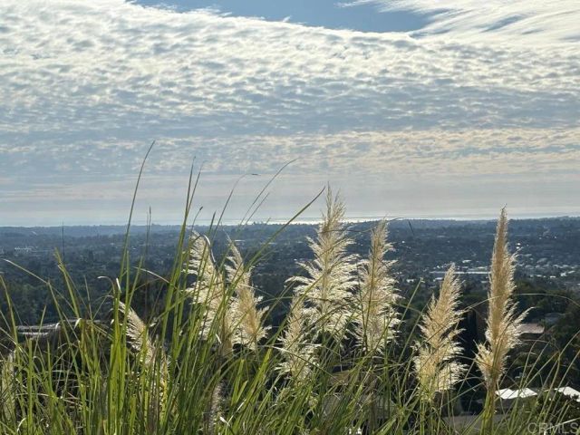 2068 Camino Culebra, Vista, CA 92084