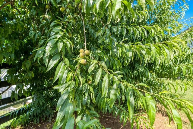 130 Crest Brooke Drive, Canton, GA 30115