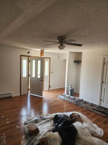 2655 Delagua St, Trinidad, CO 81082