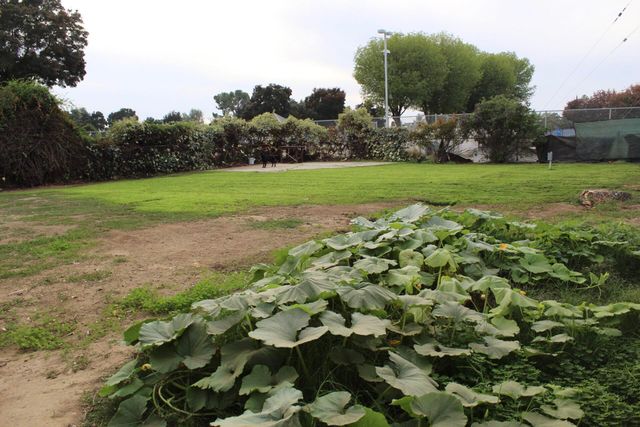 264 S Orange Avenue, Exeter, CA 93221