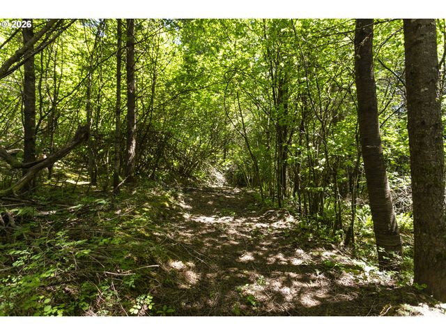 0 Ne 292nd Ct, Camas, WA 98607