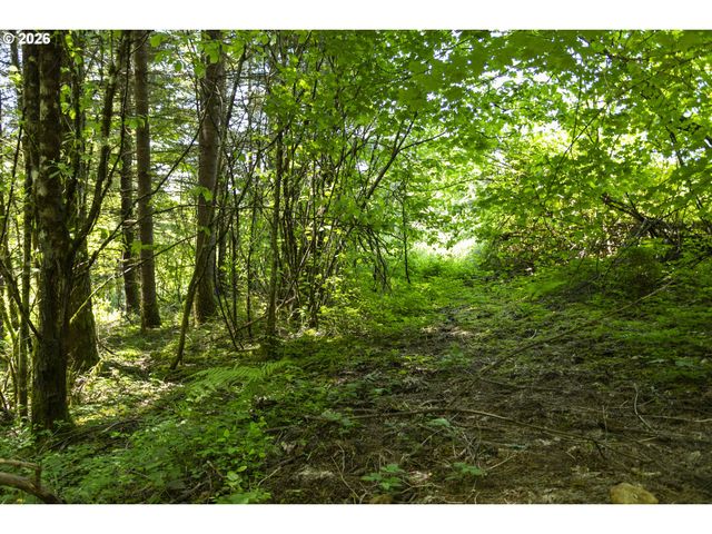 0 Ne 292nd Ct, Camas, WA 98607