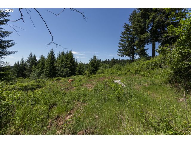 0 Ne 292nd Ct, Camas, WA 98607