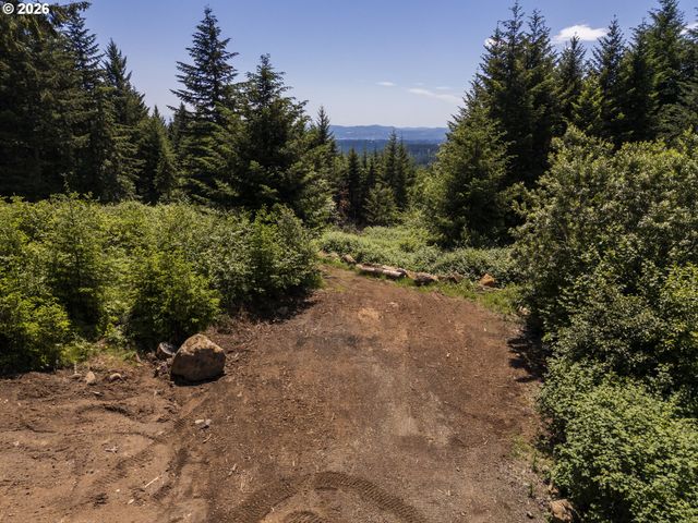 0 Ne 292nd Ct, Camas, WA 98607