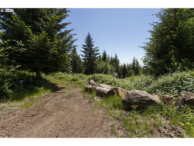 0 Ne 292nd Ct, Camas, WA 98607