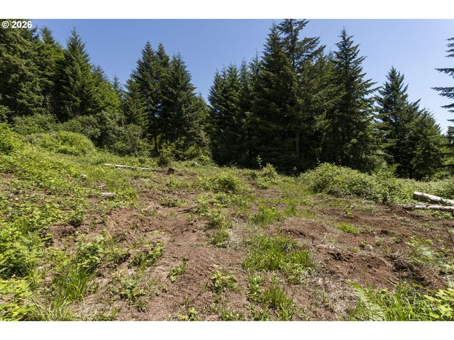 0 Ne 292nd Ct, Camas, WA 98607