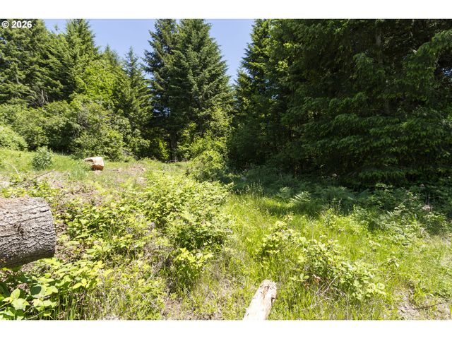 0 Ne 292nd Ct, Camas, WA 98607