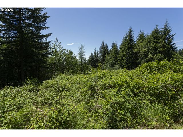 0 Ne 292nd Ct, Camas, WA 98607