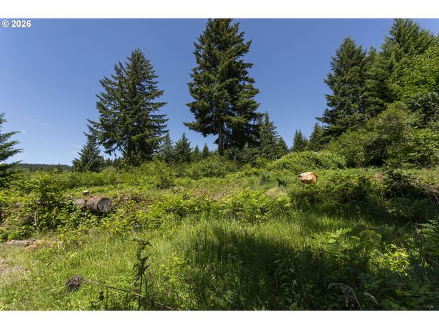0 Ne 292nd Ct, Camas, WA 98607