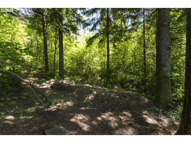 0 Ne 292nd Ct, Camas, WA 98607