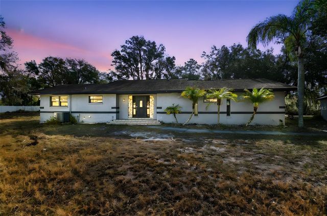 10001 WATER WORKS LANE, Riverview, FL 33578