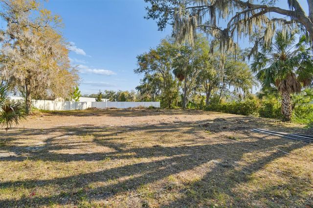 10001 WATER WORKS LANE, Riverview, FL 33578