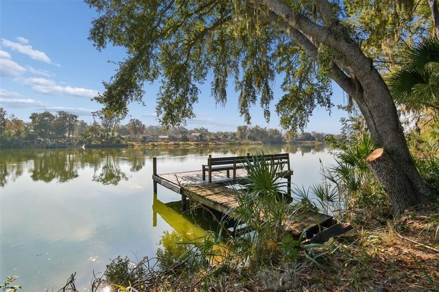 10001 WATER WORKS LANE, Riverview, FL 33578