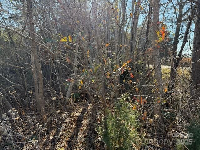 00 US 221n Highway, Rutherfordton, NC 28139