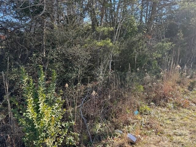 00 US 221n Highway, Rutherfordton, NC 28139